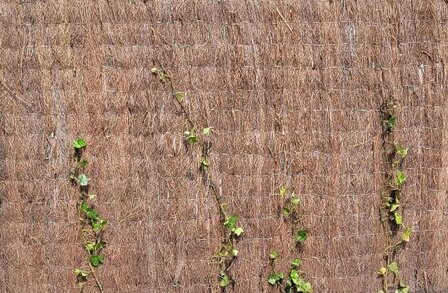 Heidematten op rol 175 cm hoog