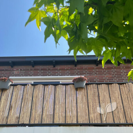 Dikke rietmat als privacyscherm voor balkon of dakterras