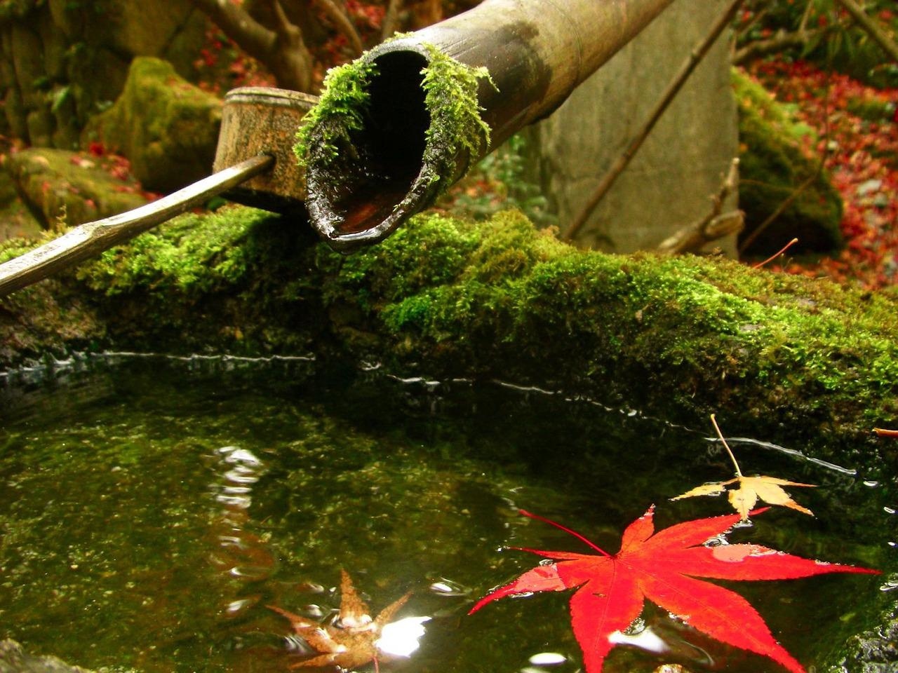 Japanse tuin waterornament van bamboe