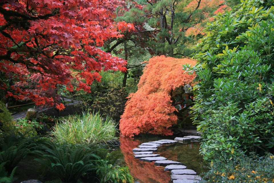 Tot rust in de Japanse tuin