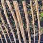 Hazelaar tuinpaal 150 cm